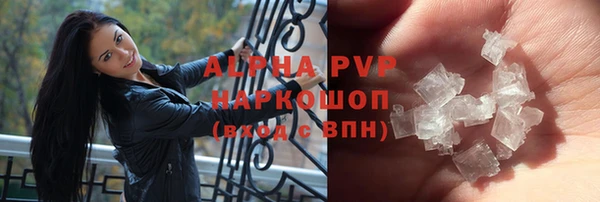 PSILOCYBIN Горняк
