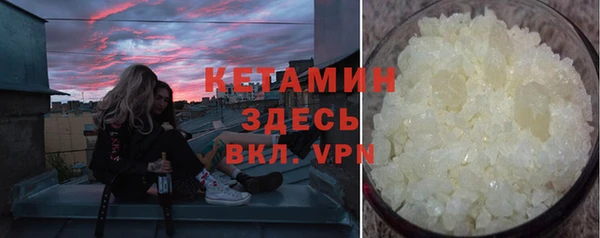 амф Гусь-Хрустальный