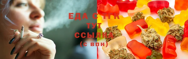 PSILOCYBIN Горняк