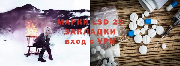 PSILOCYBIN Горняк