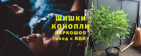 гашик Гусев
