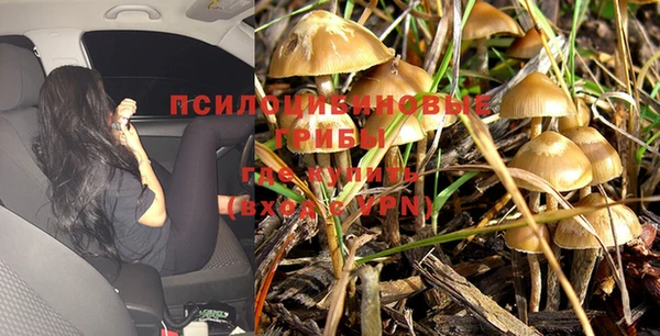 эйфоретик Дмитров